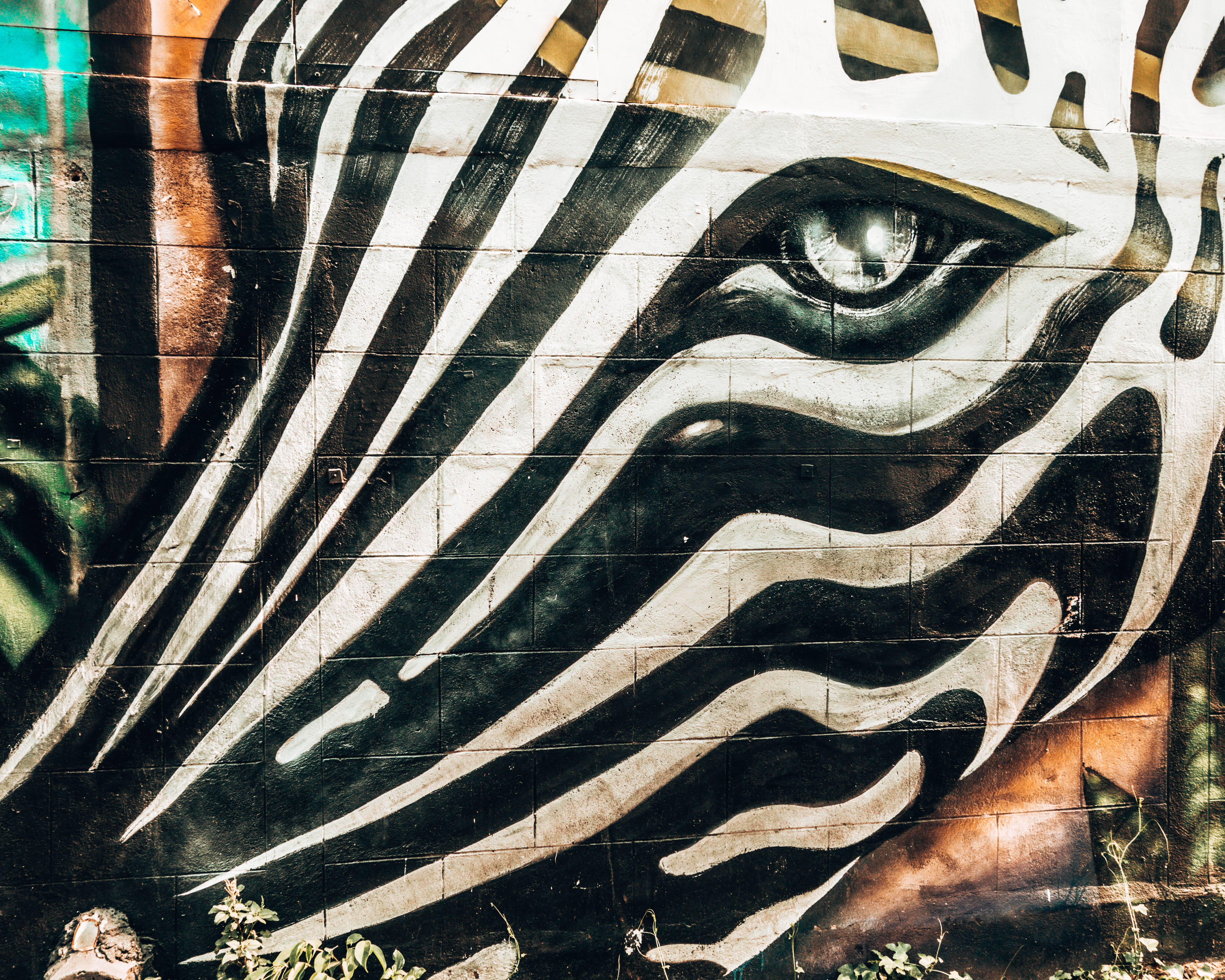 zebra mural in Chiang Mai - WeDidItOurWay.com