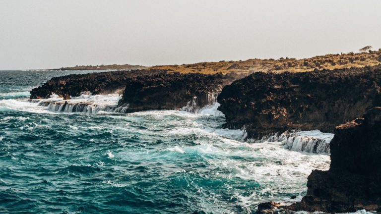 Coast of Utila, Honduras
