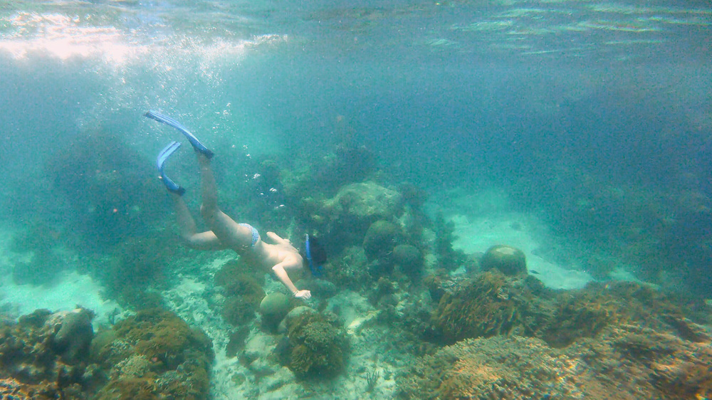 snorkel the reef in Utila in May