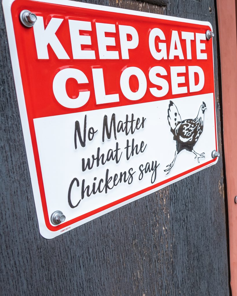 Don't let the chickens out at Noge hebergement