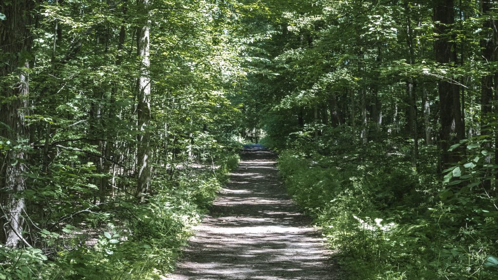 These Hiking Trails Near Montreal Are Perfect For Escaping To Nature - MTL  Blog