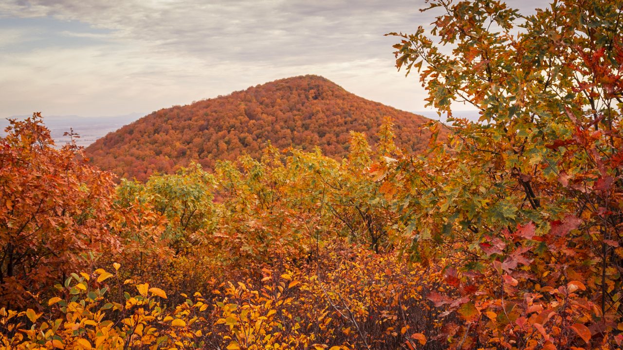 12 amazing hikes near Montreal, less than 2 hours away from the city