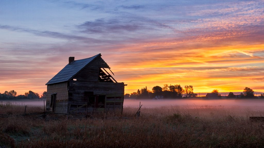 An old tumble-down shed in the sunrise mist in Prince Edward County, a perfect 3-day weekend escape from Montreal