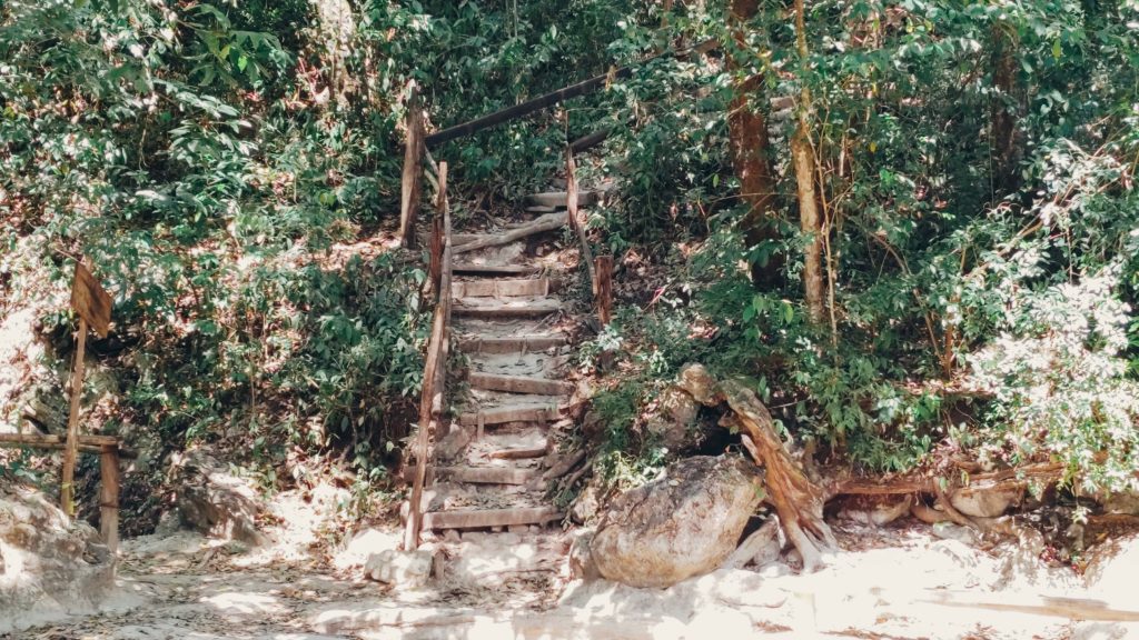 Stairs at Tamul waterfall hike