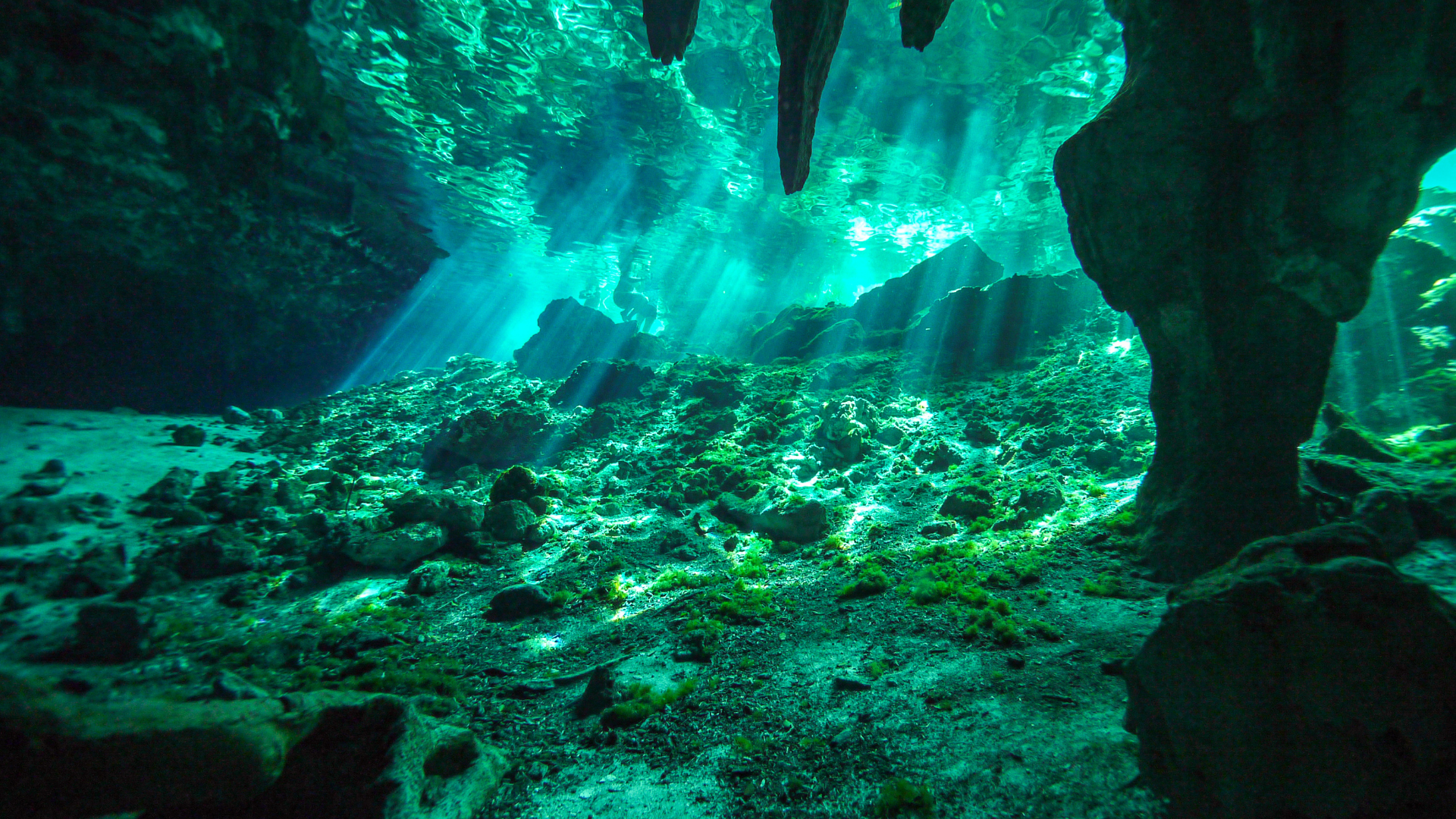 Underwater view of a cenote in Mexico