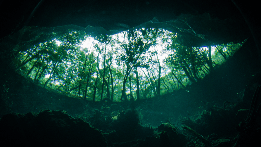 Cenotes in Quintana Roo