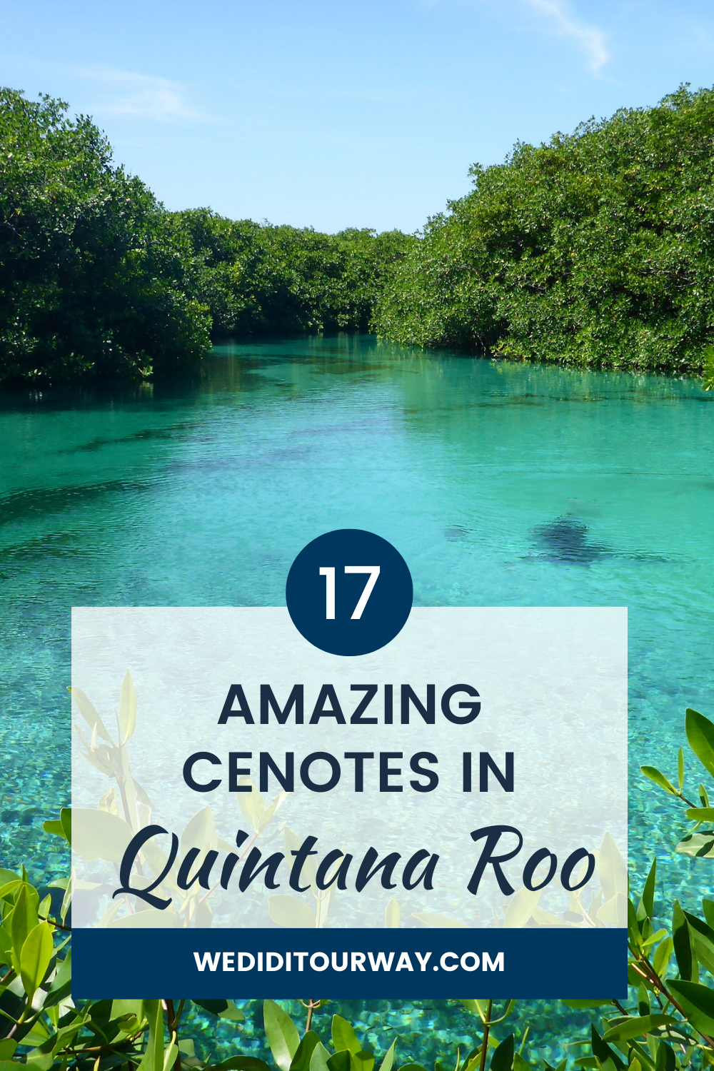 The best cenotes in Quintana Roo. The top sinkholes near Tulum, PDC, Bacalar and Cancun
