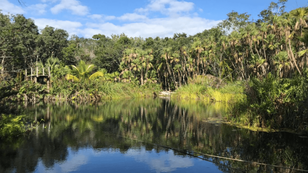 Cenote Naharon near Tulum