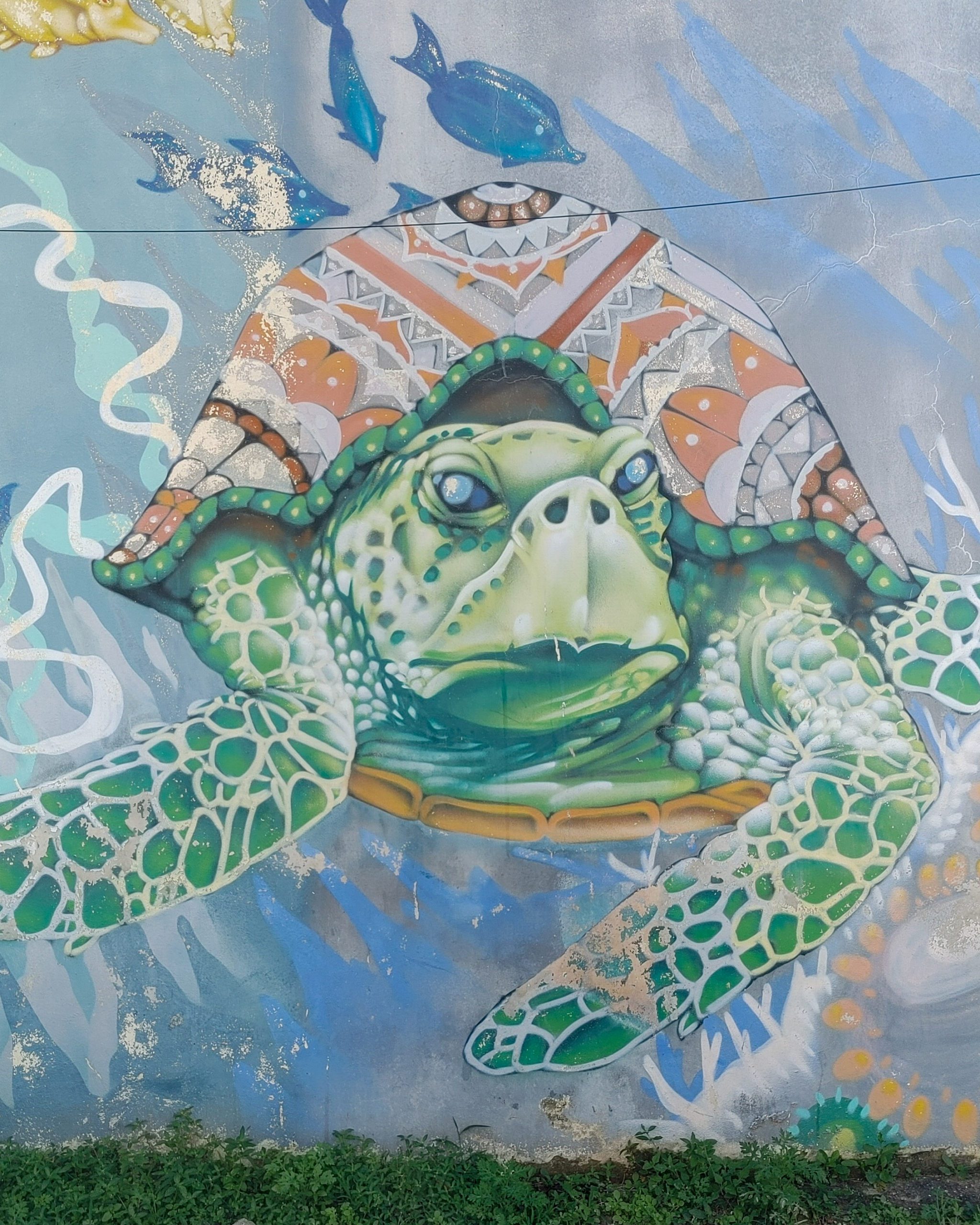 Street art in tulum. Affordable things to do in Tulum