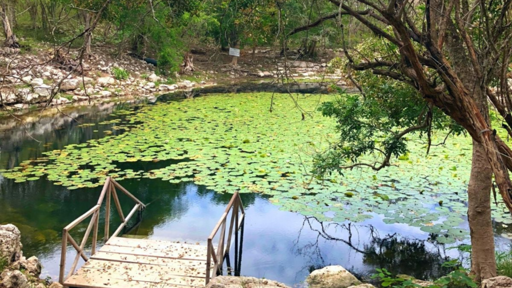 Cenote Xcalcah. The best cenotes in Yucatan. Cenotes near Merida