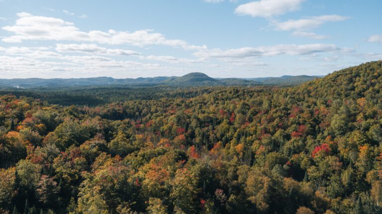 The view from the Sentier des Cimes, a hiking trail in the Laurentians