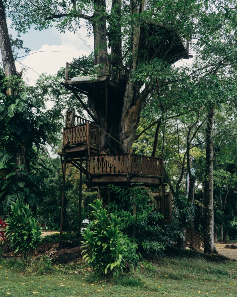 Ziplining in Belize's Bocawina park - longest zipline in Belize