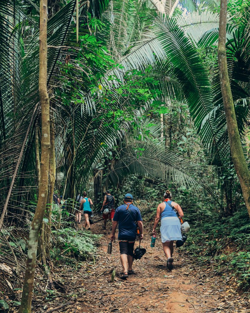 Hiking through the Bocawina park for an adventure tour in Belize