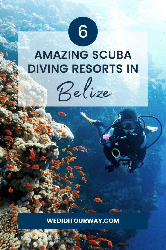 Here are the best scuba diving resorts in Belize