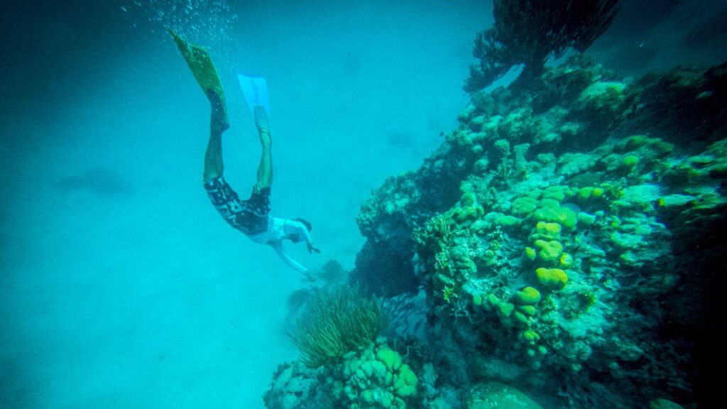 Snorkel Hol Chan Marine Reserve, The best activities in Belize