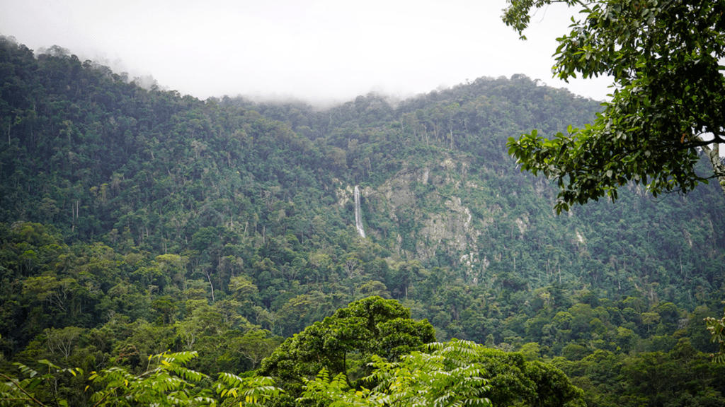 Pico Bonito national park, a beautiful destination in Honduras