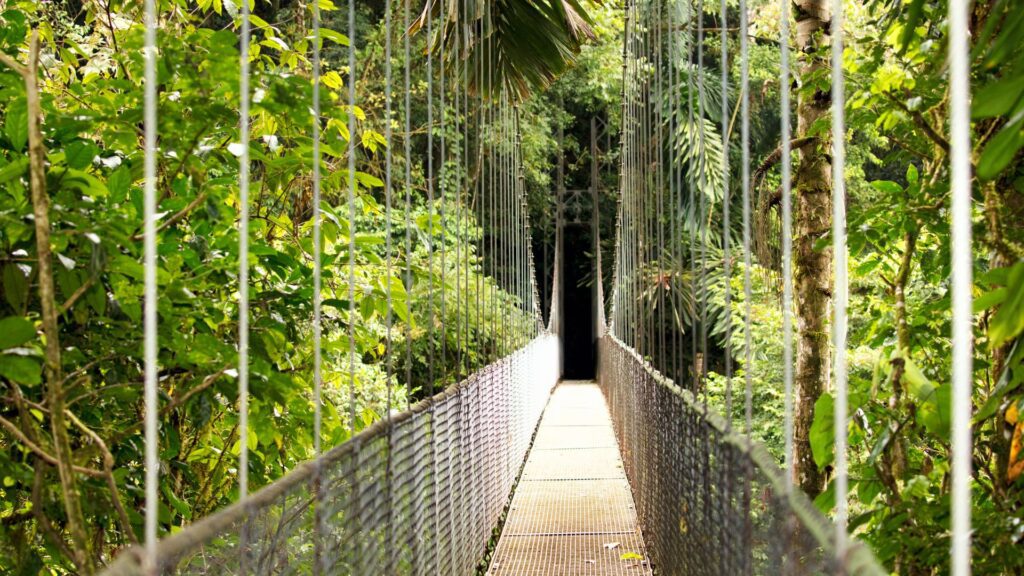 The hanging bridges at Mistico Hanging Bridges Costa Rican Reserve
