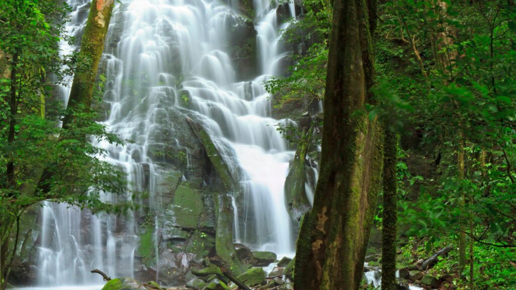 Rincon de la vieja waterfall