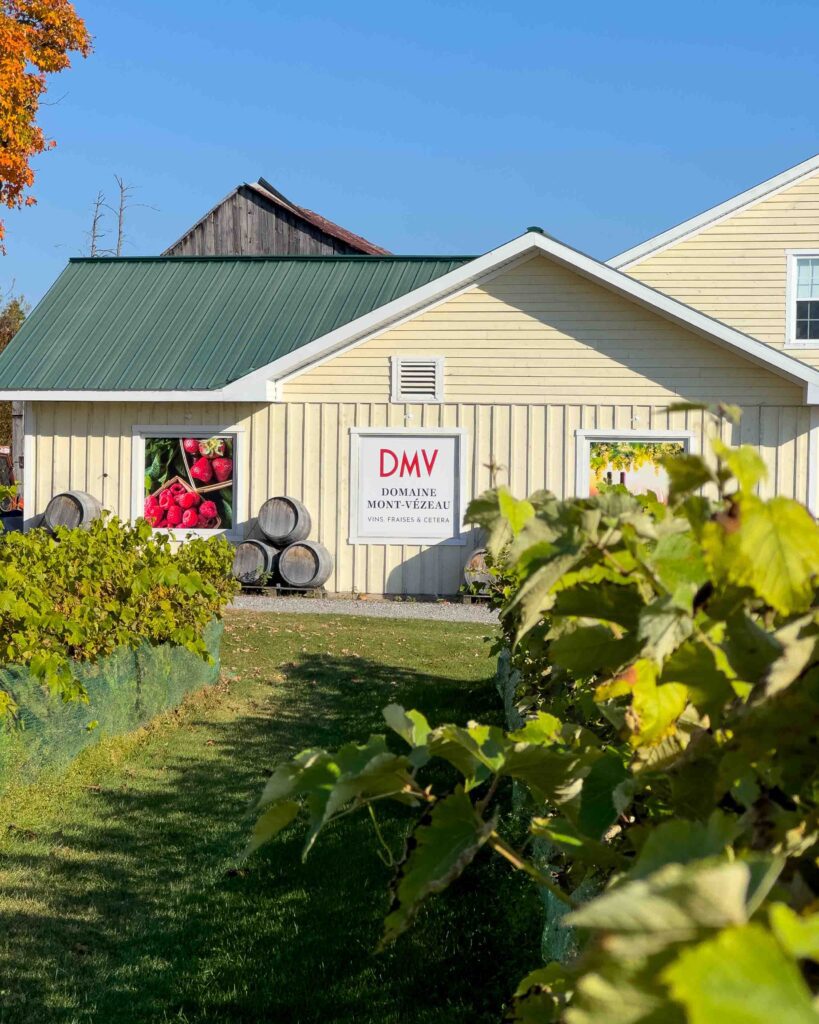 Domaine Mont-Vézeau winery in Petite Nation in Outaouais