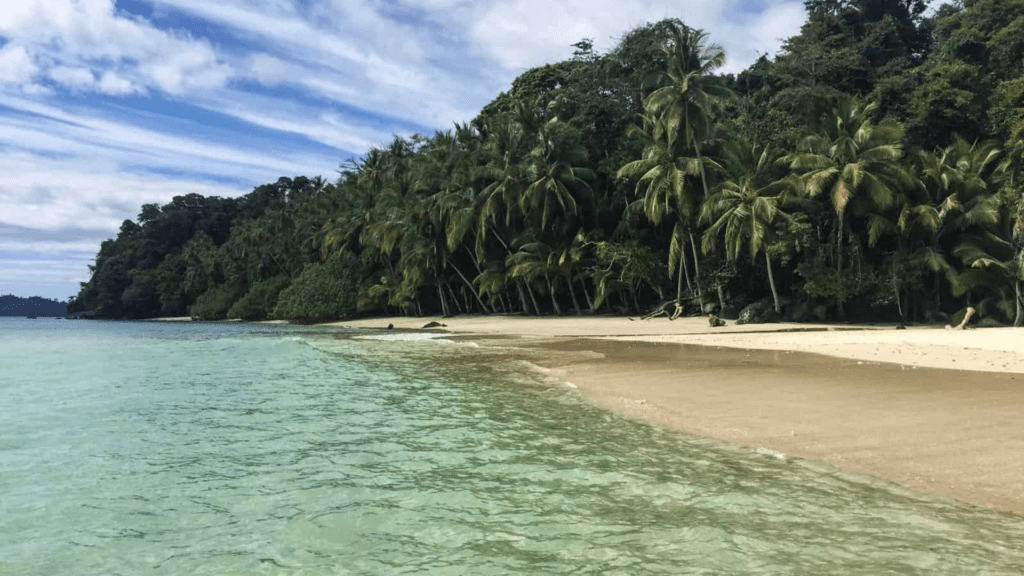 A beautiful white sand beach in Central America. Coiba Island in Panama