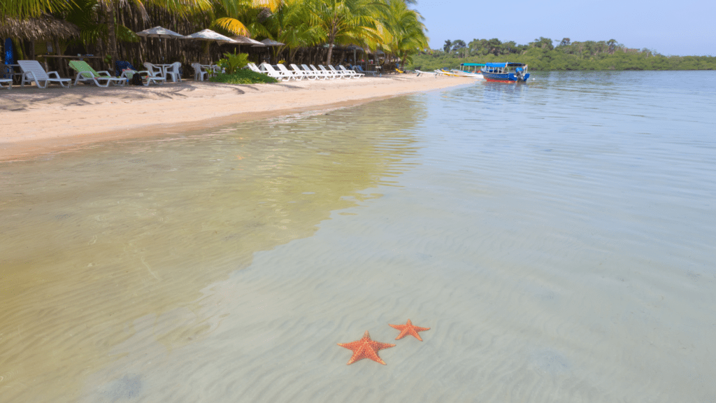 Starfish beach, Panama Central American beach