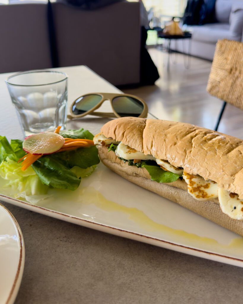 Wild Jordan Center Restaurant. Cheese sandwich. Vegan-friendly restaurant in Amman. Where to eat in Amman