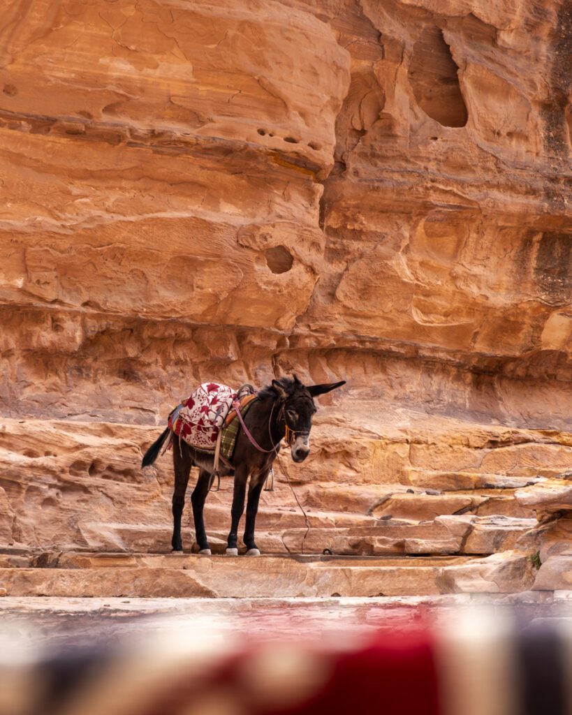 Views in Petra. Hiking the back door. Jordan things to do. Jordan Itinerary
