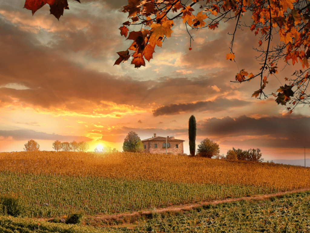 Tuscany in the fall