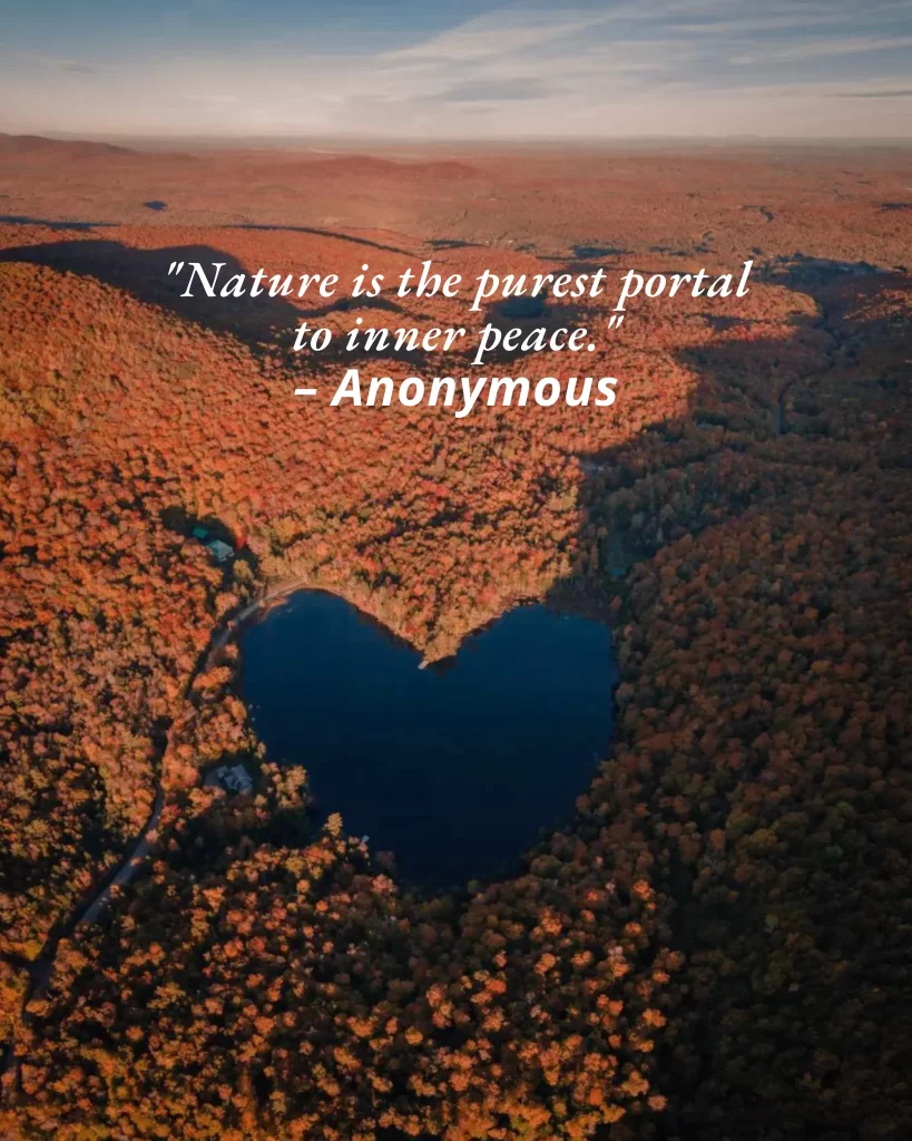 Nature is the purest portal to inner peace