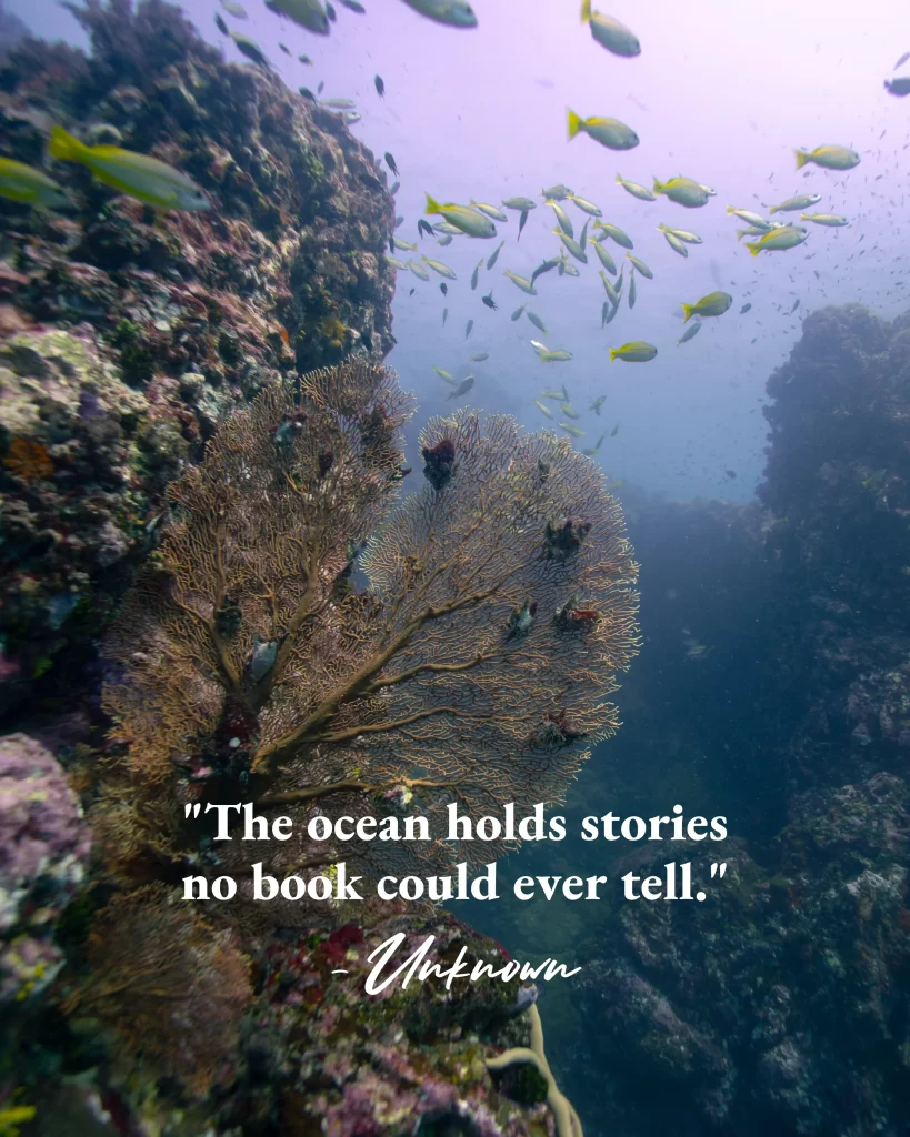 Ocean quotes. Scuba diving captions.