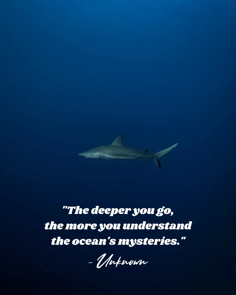 The deeper you go, the more you understand the ocean's mysteries. Quotes about the oceans