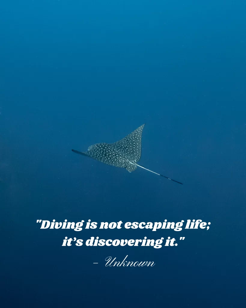 Diving is not escaping live, it's discovering it. Captions about scuba diving and the oceans