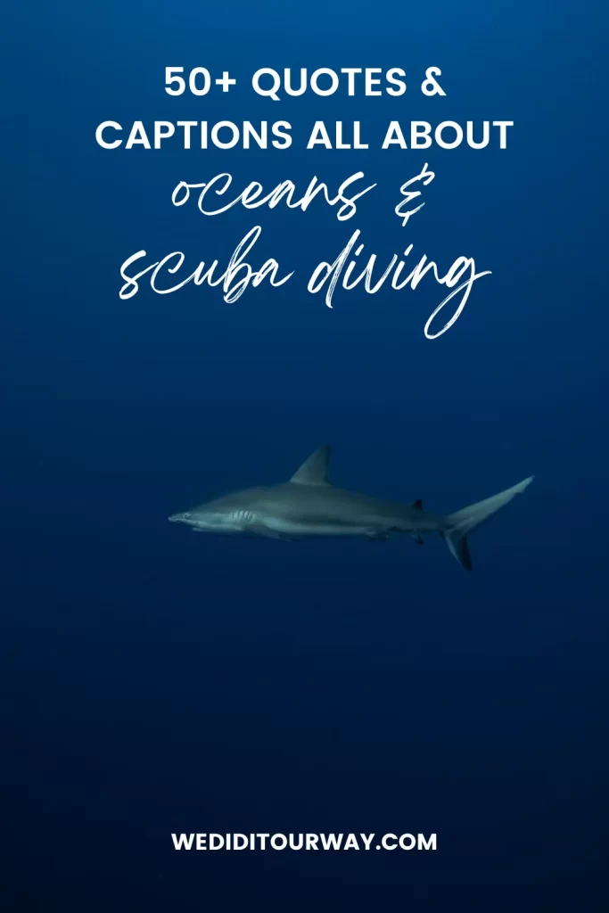 50+ quotes and captions about the oceans & scuba diving