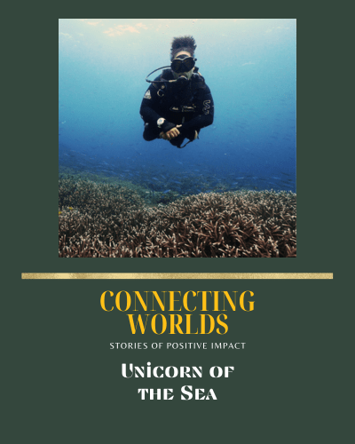 Portfolio Wediditourway Connecting worlds_2