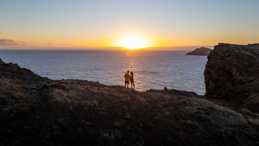 Portfolio page header